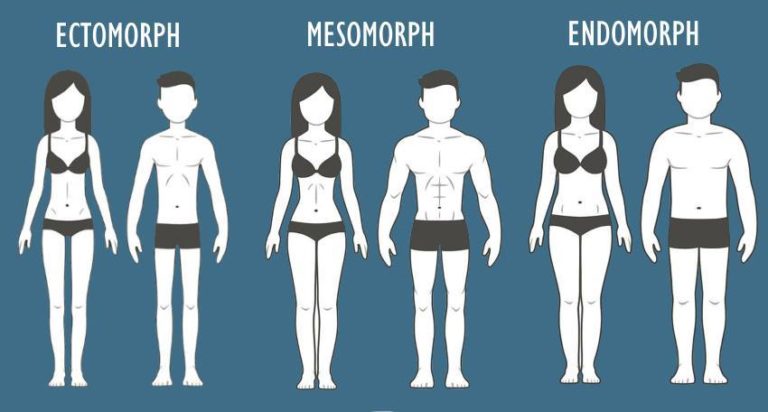 Types of body - موقع مصري