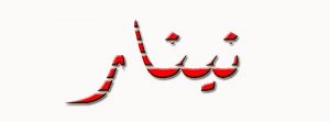 معنى اسم نينار