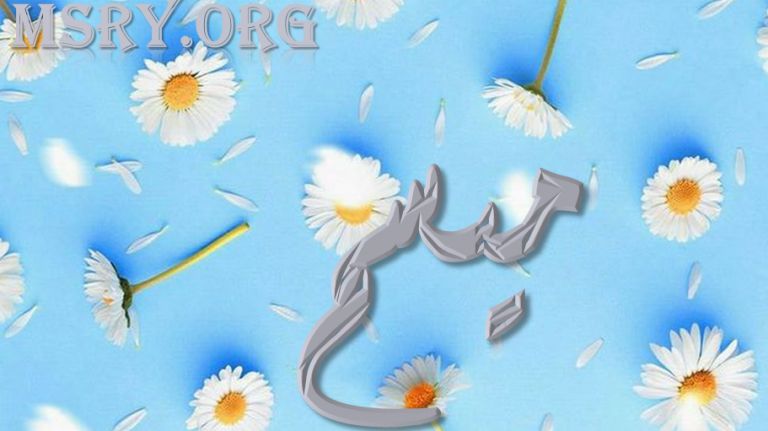 معنى اسم ميسم