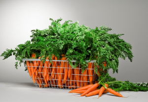 تفسير حلم الجزر في المنام