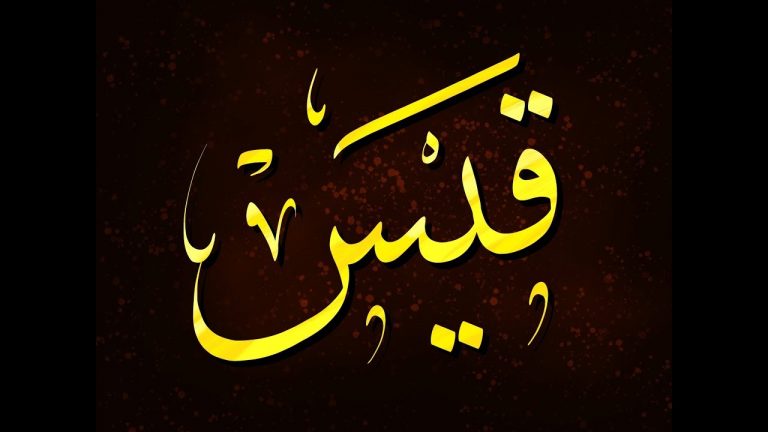 ما معنى اسم قيس؟