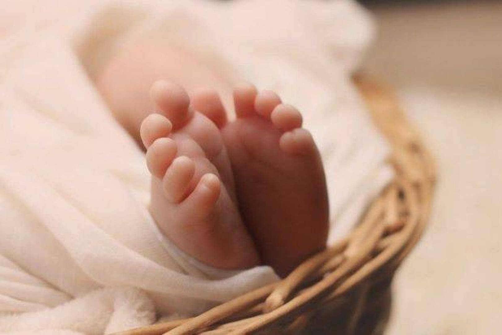 गर्भवती महिलाको लागि खैरो केटीलाई जन्म दिने सपनाको व्याख्या