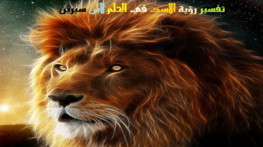 Interpretatio videndi leonem in somnio ab Ibn Sirin