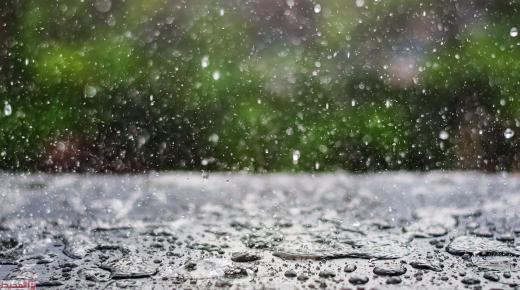 ما هو تفسير حلم نزول المطر في المنام لابن سيرين؟