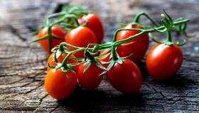 ما هو تفسير الطماطم في المنام لابن سيرين؟