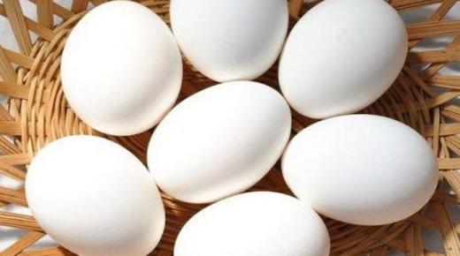 ما تفسير أكل البيض في المنام لابن سيرين؟