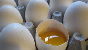 ما هو تفسير رؤية البيض النيء في المنام لابن سيرين؟