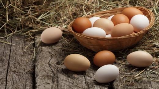 أهم 50 تفسير لرؤية جمع البيض في المنام