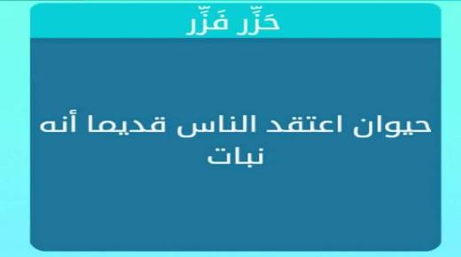 حيوان اعتقد الناس قديما انه نبات