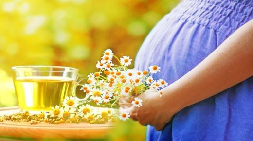 ما هي اهم فوائد البابونج للحامل؟