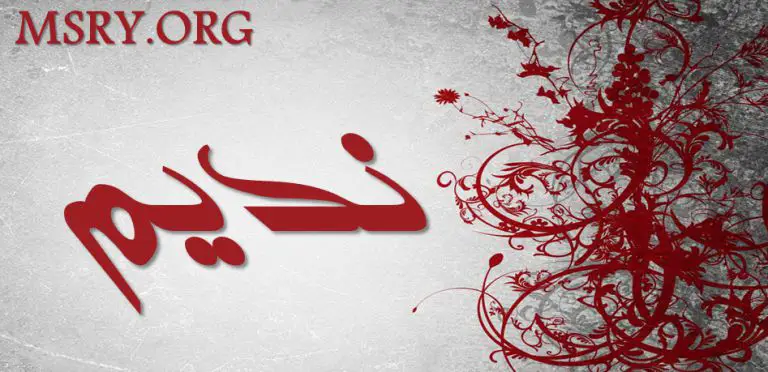 معنى اسم نديم