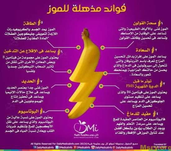 diet fastdiet01 - موقع مصري