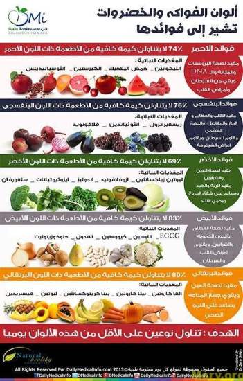 diet fastdiet03 - Египет сайты