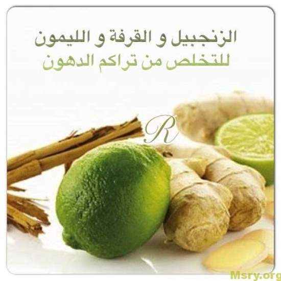 dieta fastdiet06 - Egiptoko webgunea