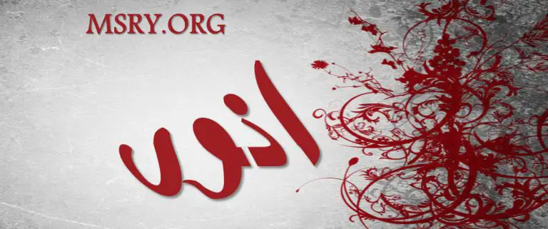 معنى اسم أنور