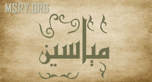 معنى اسم مياسين