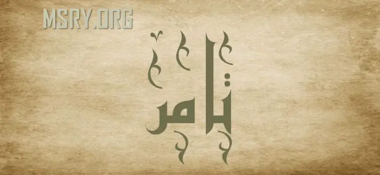 معنى اسم تامر وشخصيته