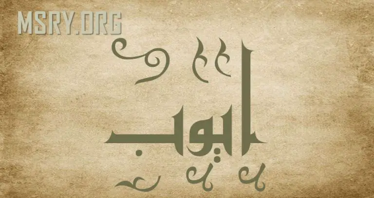 معنى اسم أيوب