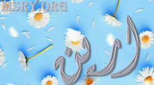 معنى اسم أرين