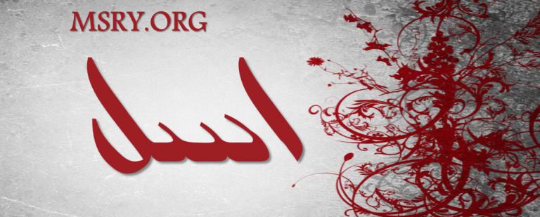 معنى اسم أسل وصفاتها