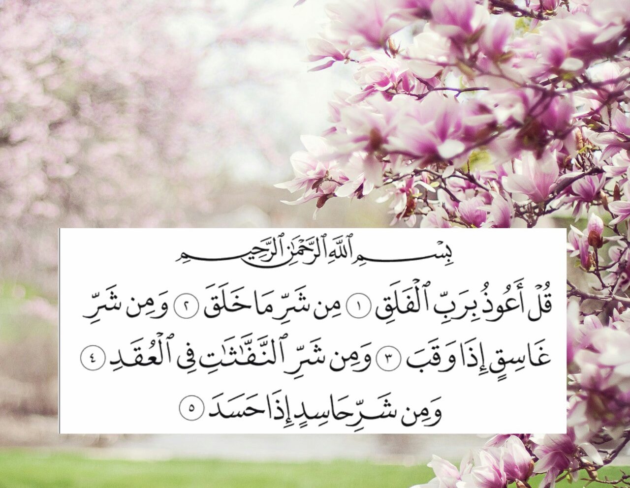 ການຕີຄວາມເຫັນຂອງ Surat Al-Falaq ໃນຄວາມຝັນສໍາລັບແມ່ຍິງໂສດ