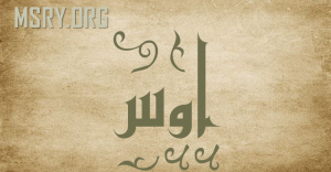 معنى اسم أوس