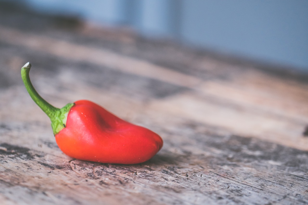 red chili pepper 858090 - موقع مصري