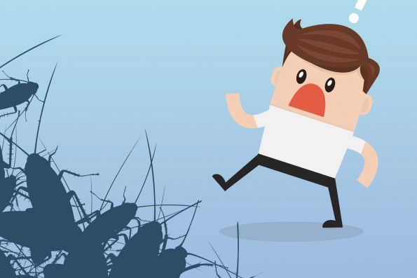 رؤية الحشرات والصراصير في المنام