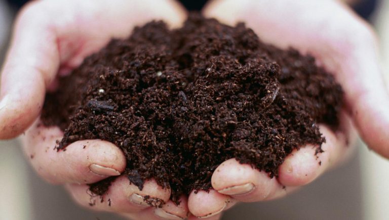 رؤية التراب في المنام