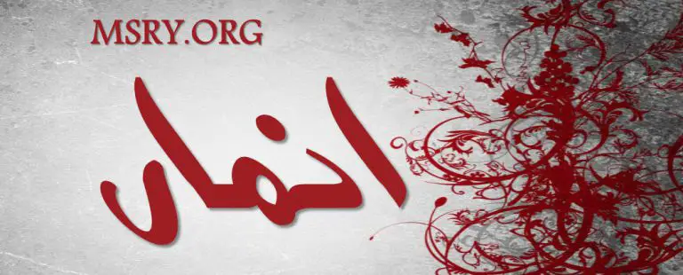 معنى اسم أنمار وصفاته