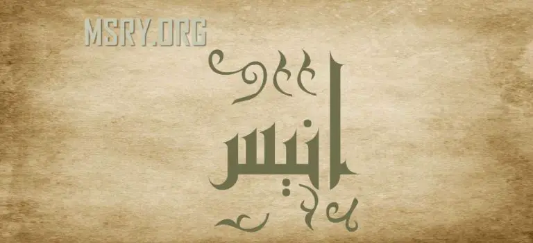 معنى اسم أنيس وصفاته