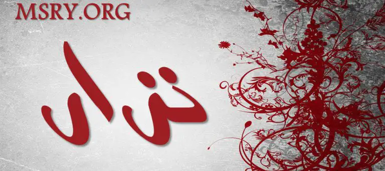 معنى اسم نزار