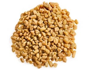 ما هي أضرار الحلبة