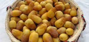 أكل البلح في المنام