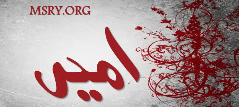 معنى اسم أمير وصفاته