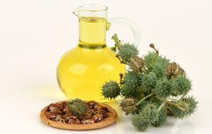 تعرف على استخدامات زيت الخروع