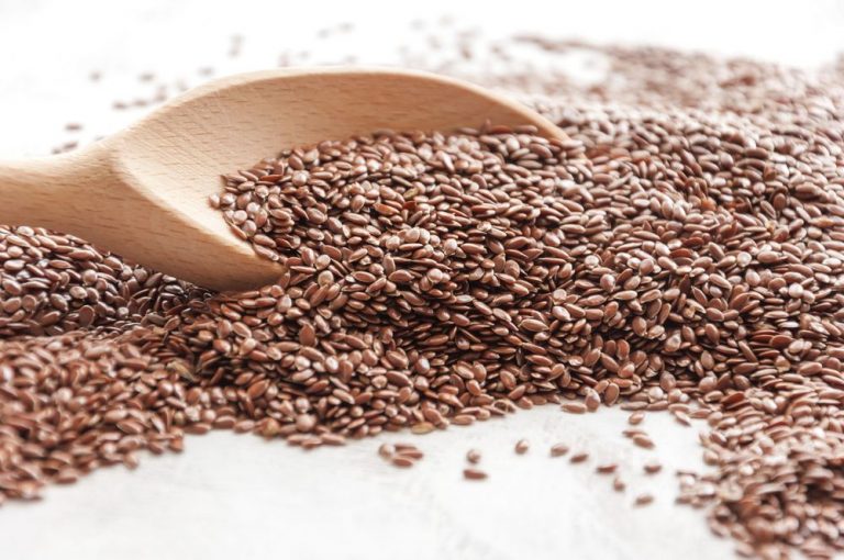 ما هي اضرار الرشاد