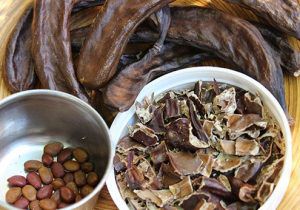 اعرف أكثر عن فوائد أكل الخروب