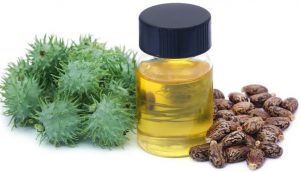 اعرف أكثر عن فوائد زيت الخروع للحواجب