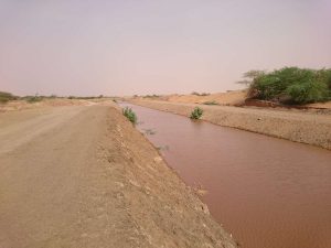 الترعة في المنام