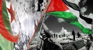 موضوع تعبير عن الثورة الجزائرية للسنة الخامسة ابتدائي