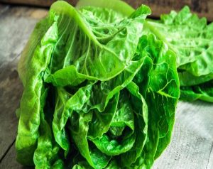 فوائد الخس للقولون