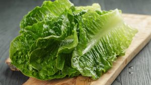 ما هي السعرات الحراريه فى الخس وقيمته