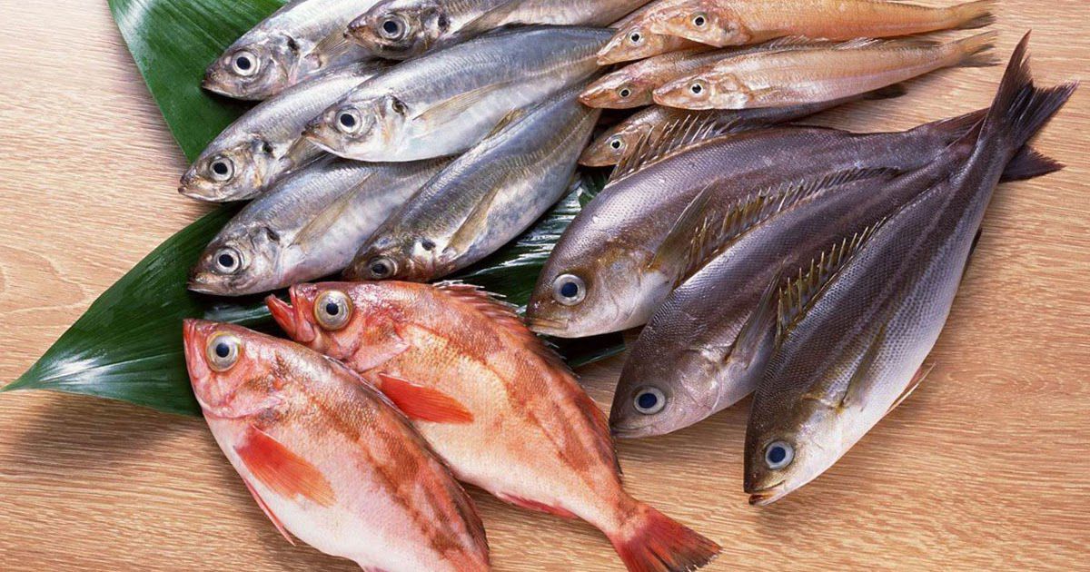 تفسير حلم السمك الحي