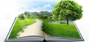 موضوع تعبير عن دور الإسلام في المحافظة على البيئة