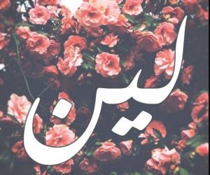 معنى اسم لين