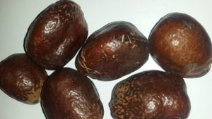 تعرف على فوائد الدوم