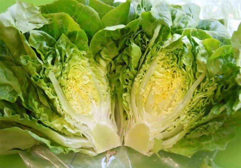 تعرفي على فوائد الخس للشعر