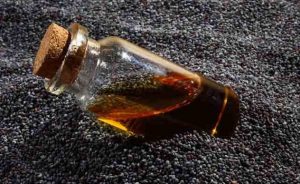 تعرفي على فوائد حبة البركة للتخسيس