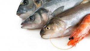 تفسير حلم السمك الميت